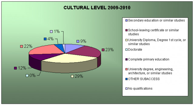 Cultural Level