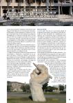 Revista Política Universitaria: Especial Madurez Activa