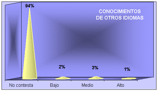 Conocimientos de otros idiomas