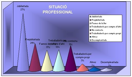 profesional