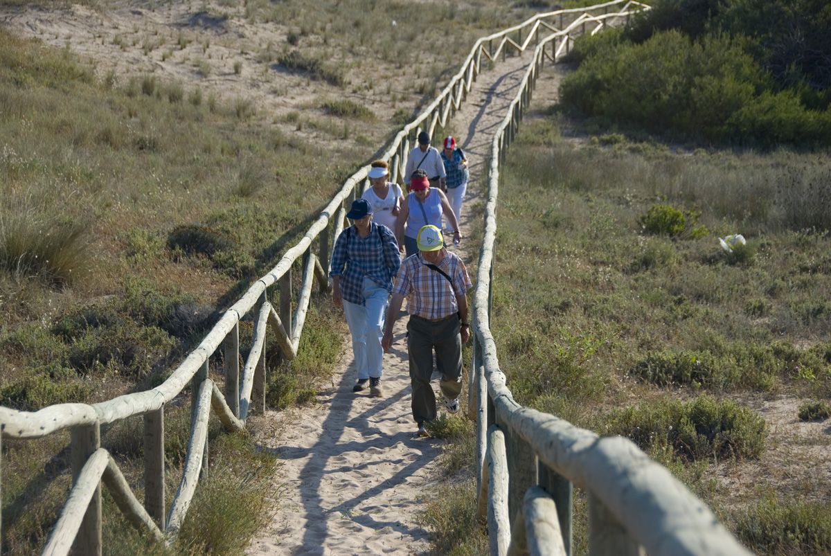 24 En la microrreserva de les Dunes del Pinet