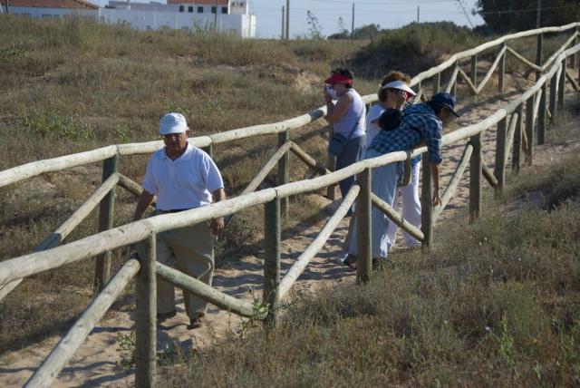 29 En la microrreserva de les Dunes del Pinet