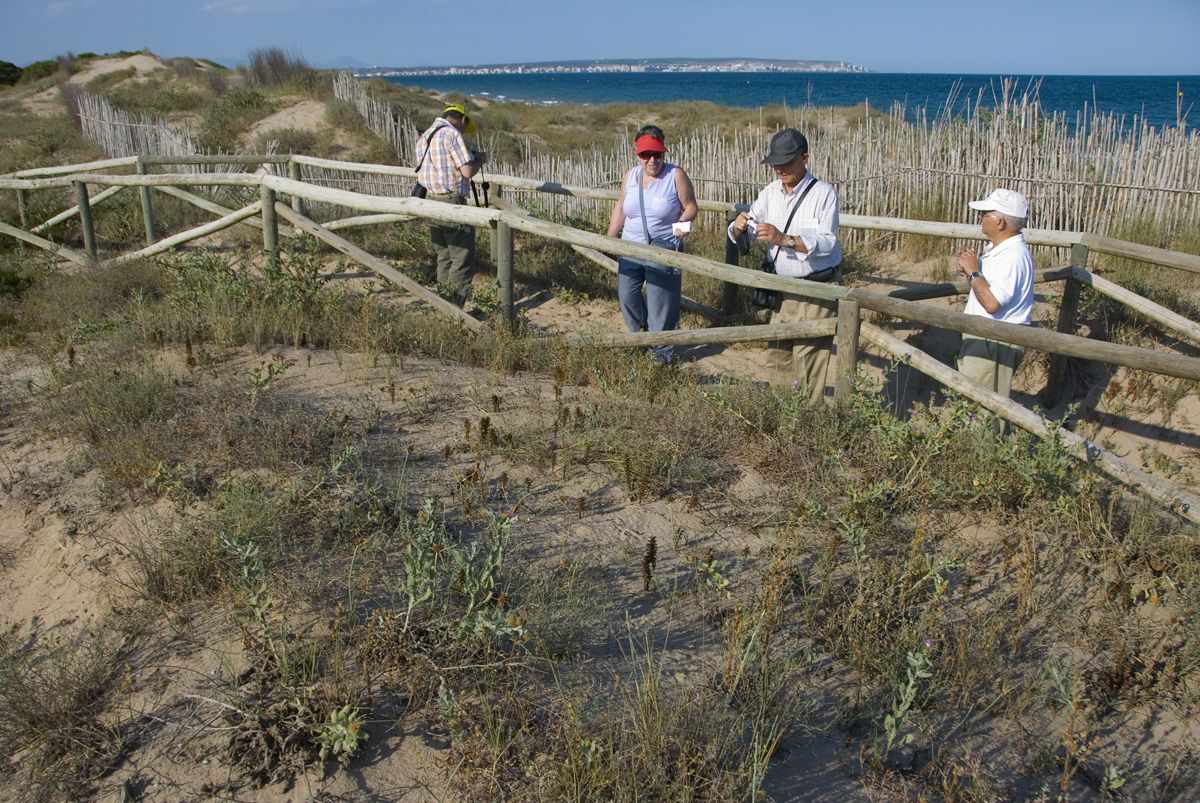 30 En la microrreserva de les Dunes del Pinet