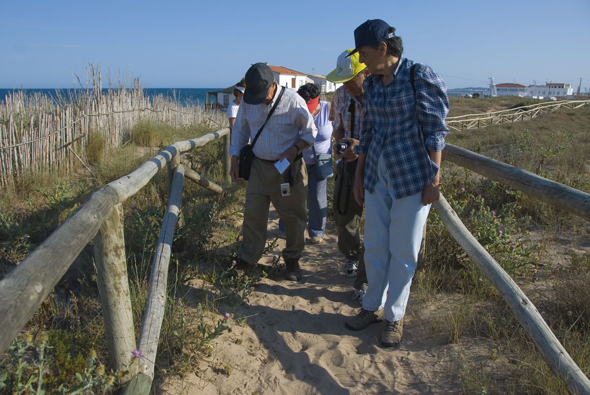 32 En la microrreserva de les Dunes del Pinet