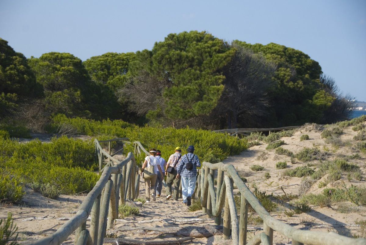 35 En la microrreserva de les Dunes del Pinet