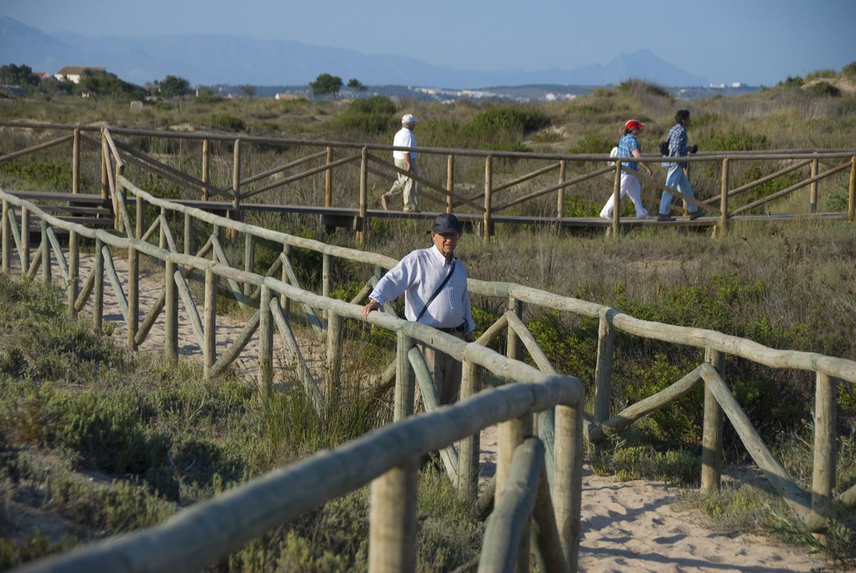 36 En la microrreserva de les Dunes del Pinet