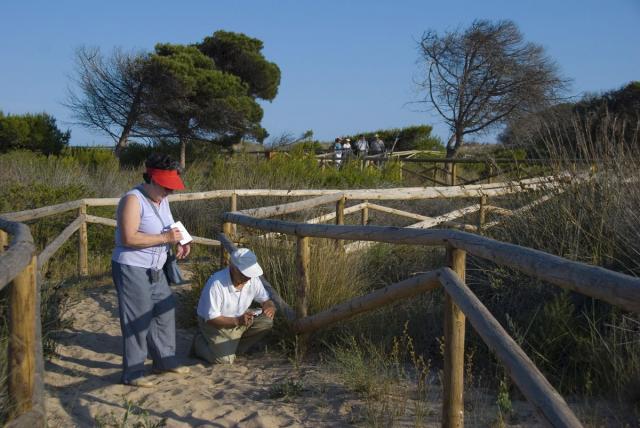 42 En la microrreserva de les Dunes del Pinet