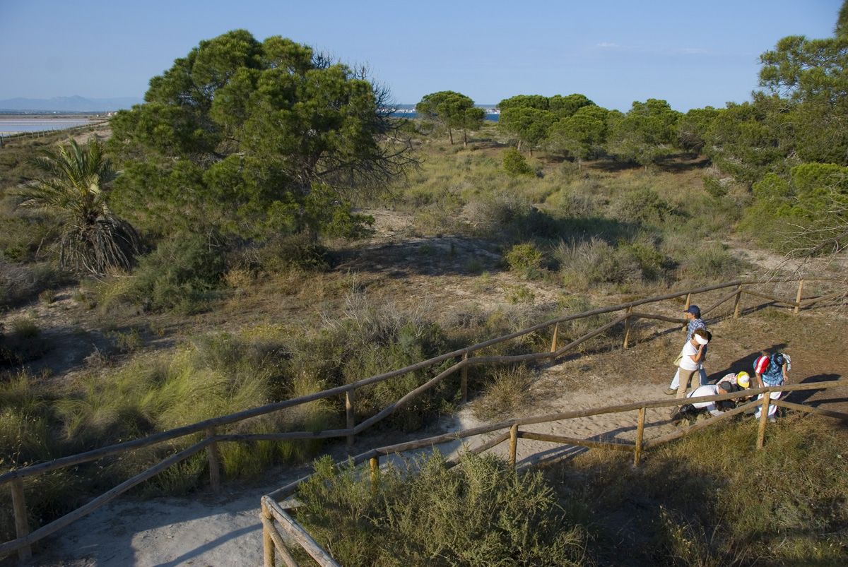 45 En la microrreserva de les Dunes del Pinet