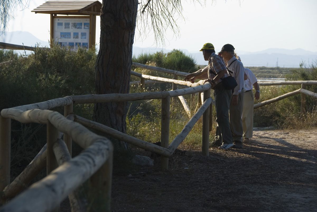 49 En la microrreserva de les Dunes del Pinet