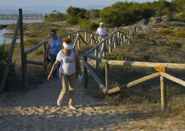 52 En la microrreserva de les Dunes del Pinet