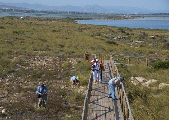 024 En Les Salines del Pinet