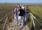 033 En Les Salines del Pinet