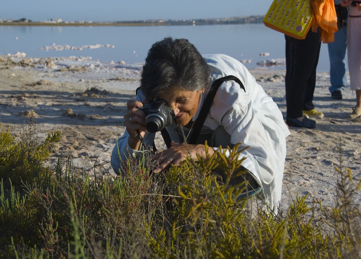 054 En la Laguna de Torrevieja