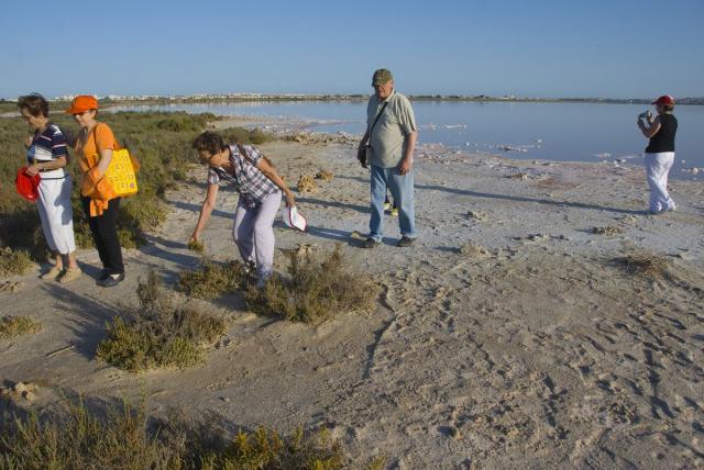 059 En la Laguna de Torrevieja