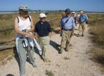 007 En Les Salines del Pinet