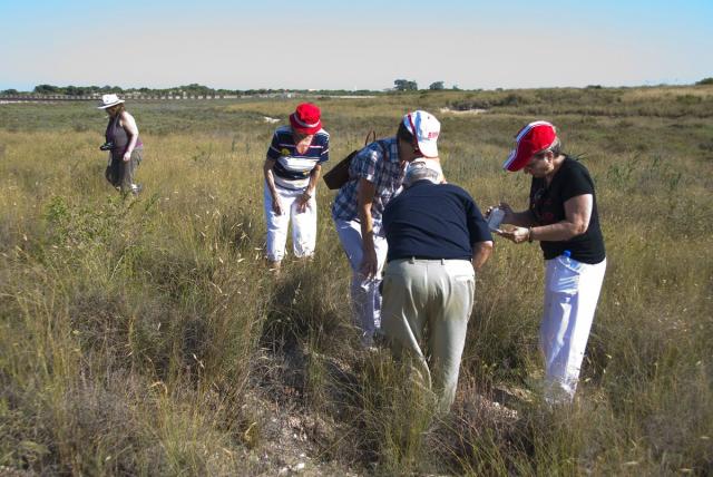 011 En Les Salines del Pinet