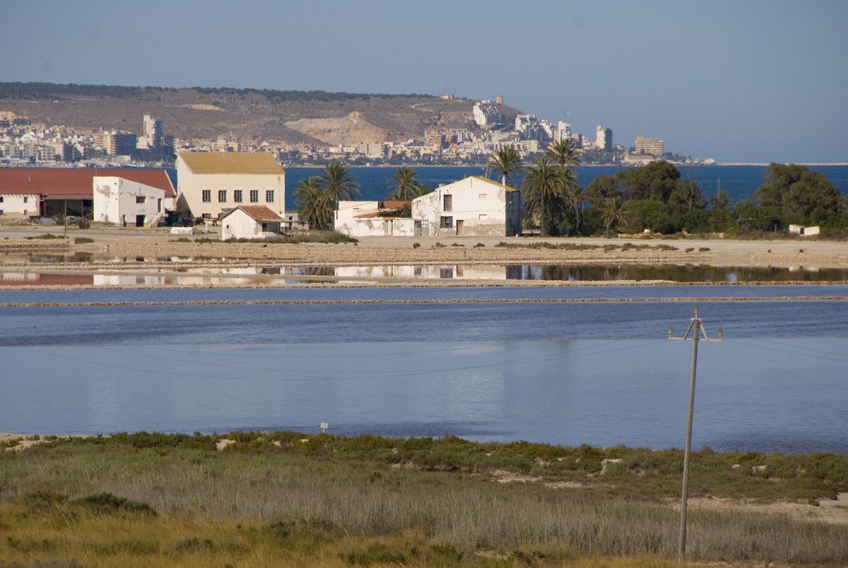 029 En Les Salines del Pinet