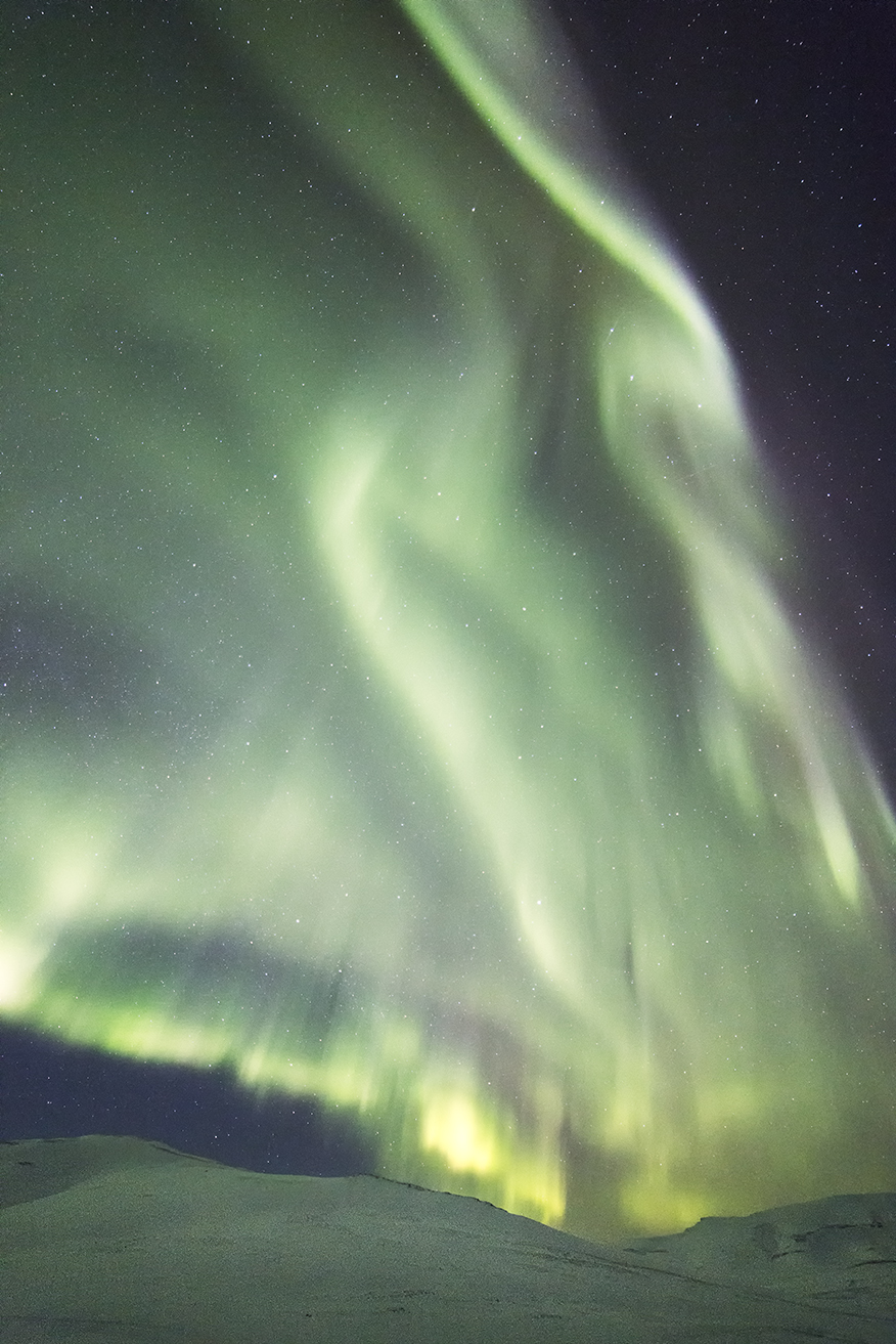 aurora-vertical.jpg