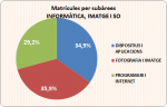 06_04_Matrícules per subàrees_Informàtica_Imatge i So