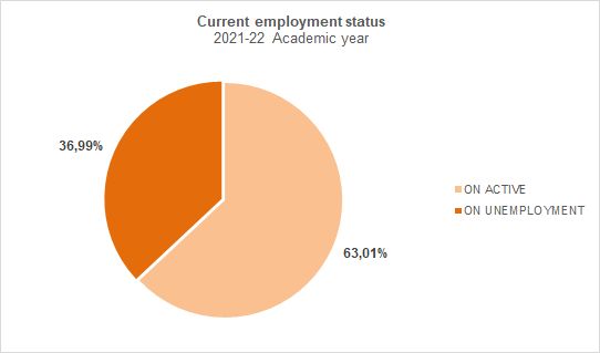 27-Current employment status - More information of interest