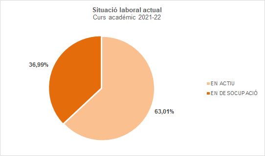 27-Situació laboral actual - Més informació d'interés