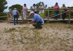 4ª Dunes i Salines del Pinet