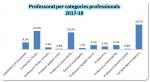 15_Professorat per categories professionals