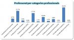 22_Professorat per categories professionals