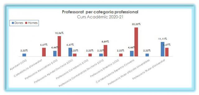 04_Professorat per categoria professional_Curs acadèmic 2020-21